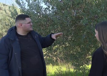 Studime mbi bujqësinë në epokën e Inteligjencës Artificiale, studenti nga Berati apelon te të rinjtë: Fermerët në Shqipëri kërkojnë specialistë.