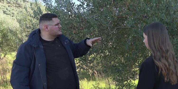 Studime mbi bujqësinë në epokën e Inteligjencës Artificiale, studenti nga Berati apelon te të rinjtë: Fermerët në Shqipëri kërkojnë specialistë.