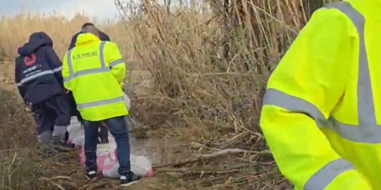 Uji arrin nivelin maksimal të argjinaturës në Fier, banorët vendosin thasë me rërë për të parandaluar përmbytjet.