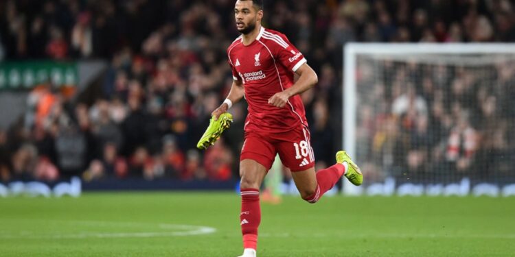 Video / Gakpo bëhet hit në rrjet, zhvillon sulm me top dhe këpucë në dorë…