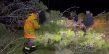 Zjarri në Orikum, erërat e forta shembin pishat, bllokohet rruga drejt Zvërnecit.