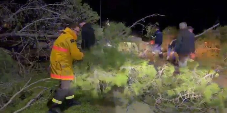 Zjarri në Orikum, erërat e forta shembin pishat, bllokohet rruga drejt Zvërnecit.