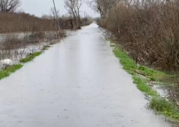40 cm ujë në rrugën e Obotit, forcat e armatosura dhe shërbimet emergjente mobilizohen për pastrimin e zonës.