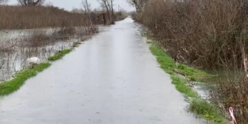 40 cm ujë në rrugën e Obotit, forcat e armatosura dhe shërbimet emergjente mobilizohen për pastrimin e zonës.
