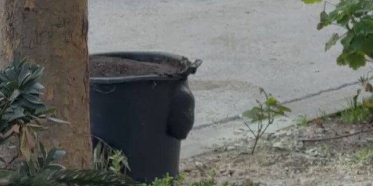 Alarm kimik në Vlorë, njoftohet policia/ Ambientalisti tregon për përzierje të rrezikshme, zona mbulohet me barriera.