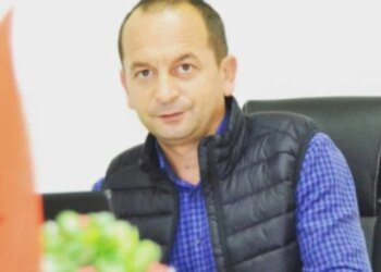 Ambasadori Meidani dhe kontribuimi i Shqipërisë në zhvillimet rajonale