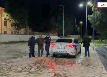 Arrestohet 46-vjeçari në Vau i Dejës për kultivim të drogës