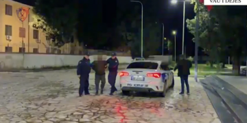 Arrestohet 46-vjeçari në Vau i Dejës për kultivim të drogës