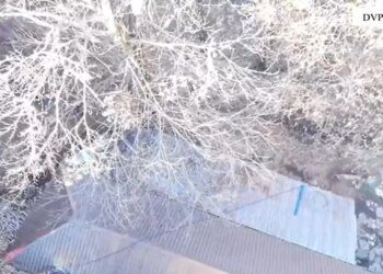 Arsenal armësh zjarri dhe municioni luftarak sekuestruar në Shkodër, dy të rinj të arrestuar.