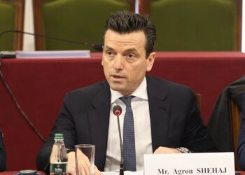 Biseda me David McAllister, Agron Shehaj: Ta përkrahemi drejtësinë, jo partitë politike.