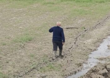Blegtorët e Dimalit përballen me vështirësi, përmbytjet shkatërruan ushqimin për kafshët: Asnjë ndihmë nuk kemi marrë.