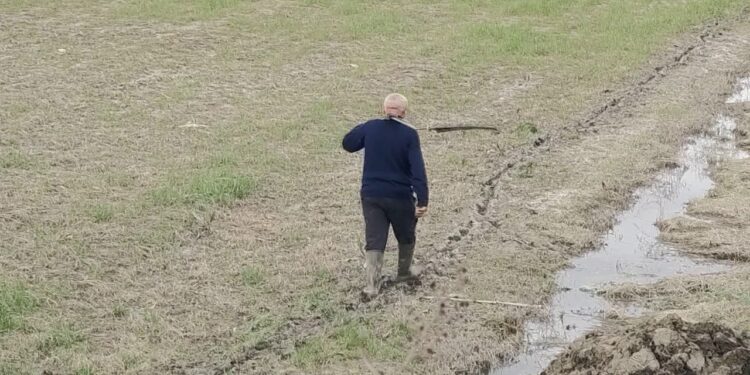 Blegtorët e Dimalit përballen me vështirësi, përmbytjet shkatërruan ushqimin për kafshët: Asnjë ndihmë nuk kemi marrë.