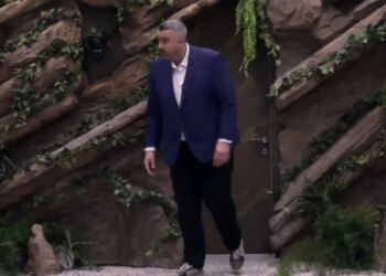 Comentario sobre Stenald, ¿cuál es la decisión del Gran Hermano respecto a Rogert?