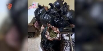 Dy persona arrestohen në Vlorë për prodhim dhe tregtim lëndësh narkotike, sekuestrhen 57 kilogramë kanabis.