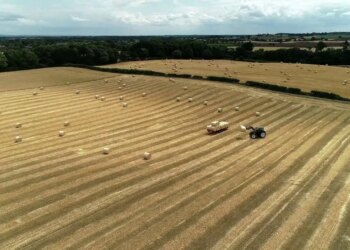 Garancia sovrane ka dështuar: Kreditimi në bujqësi pengohet nga burokracitë dhe mungesa e informacionit, sipas ekspertëve.