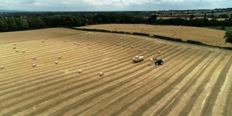 Garancia sovrane ka dështuar: Kreditimi në bujqësi pengohet nga burokracitë dhe mungesa e informacionit, sipas ekspertëve.