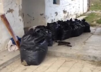 Historia e brendshme: Konflikt mes grupeve kriminale, Aliajt përballen me rivalët në përleshje të armatosur për kontrollin e tregut të drogës.