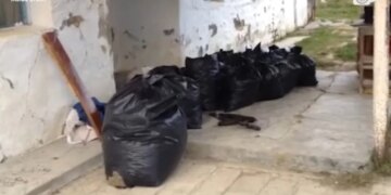 Historia e brendshme: Konflikt mes grupeve kriminale, Aliajt përballen me rivalët në përleshje të armatosur për kontrollin e tregut të drogës.