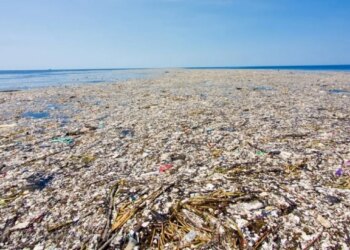 Ishulli që nuk duhet të jetë, si mbeturinat formojnë një ekosistem të rrezikshëm në Oqeanin Paqësor