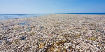 Ishulli që nuk duhet të jetë, si mbeturinat formojnë një ekosistem të rrezikshëm në Oqeanin Paqësor