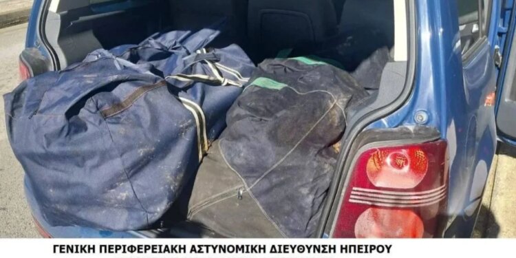 Kapet 75 kg marijuanë në kufirin mes Greqisë dhe Shqipërisë, arrestohet një individ nga policia greke.