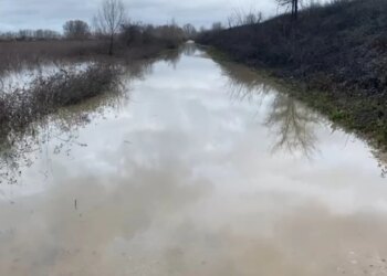 Lumi Ishëm del nga shtrati, rrugët e dy fshatrave bllokohen dhe dhjetëra hektarë tokë bujqësore përmbyten.