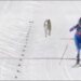 Milano-Cortina 2026: Në garën e Ski Cross-Country merr pjesë një…qen