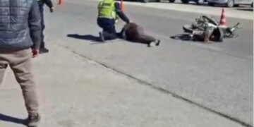 Ngjarje e rëndë në aksin Levan-Fier, një i plagosur në aksident.