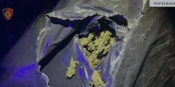 Operacioni Jug-Veri / Zbardhet grupi i drogës, katër arrestime, armë dhe 41 kg kanabis sativa të sekuestruara