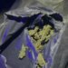 Operacioni Jug-Veri / Zbardhet grupi i drogës, katër arrestime, armë dhe 41 kg kanabis sativa të sekuestruara