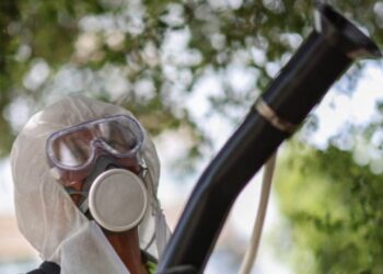 Sëmundja tropikale po përhapet në Evropë, Chikungunya mund të shkaktojë shqetësime në veri, këtu janë simptomat e saj.