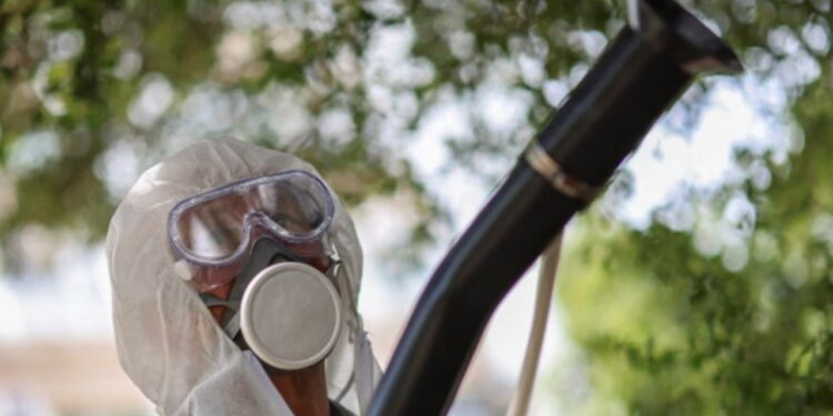 Sëmundja tropikale po përhapet në Evropë, Chikungunya mund të shkaktojë shqetësime në veri, këtu janë simptomat e saj.