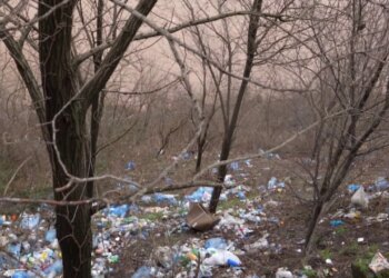 Shkumbini, lumë i mbushur me mbetje: Përmbytjet sjellin tonelata trashëgimi plehrash në luginë për shkak të hedhjeve nga banorët përreth.