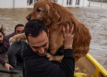 Stuhi shkatërrimtare në Gadishullin Iberik çon në kërkesën për shtyrjen e zgjedhjeve presidenciale në Portugali.