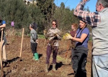 Të rinjtë nga e gjithë bota, me mision në Shqipëri, mbjellin 3 mijë fidanë në mbështetje të Vjosës.