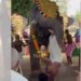 Video/ Gjatë një festivali fetar në Indi, një elefant sulmon një të ri, duke e hedhur disa metra lart dhe e plagos rëndë...