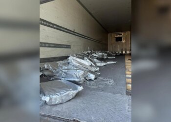 Zbulohen 350 kg kanabis në doganën e Kakavijës, të fshehura brenda trajlerit.