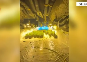 Zbulohet një tunel për kultivimin e kanabisit në Shkodër, dy “pronarë” kapen në flagrancë, arrestohet gjithashtu një punonjës i OSHEE-së.