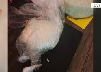 Arrestohet 36-vjeçari për shpërndarje të kokainës dhe kanabisit në Lushnjë.