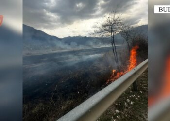 Bulqizë: Dy persona procedohen pasi i vunë flakën një sipërfaqe toke, duke shkatërruar 7 dynym bimësi.