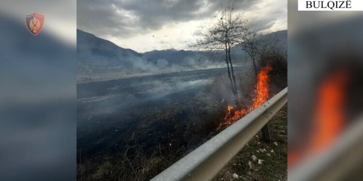 Bulqizë: Dy persona procedohen pasi i vunë flakën një sipërfaqe toke, duke shkatërruar 7 dynym bimësi.