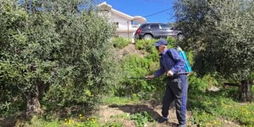 Çmimi i pesticideve dyfishohet, fermerët në Fier shprehin shqetësimin: Kostot kanë shënuar një rritje të madhe krahasuar me vitin e kaluar.