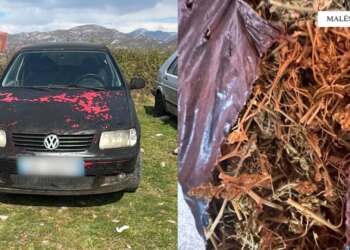 Dy automjete të vjedhura në Malësi të Madhe, 22-vjeçari arrestohet. Arrestohen xhaxhallarët e tij për posedim të drogës dhe armëve pa leje.