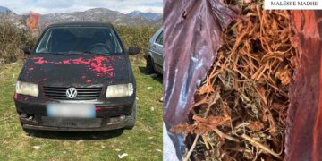 Dy automjete të vjedhura në Malësi të Madhe, 22-vjeçari arrestohet. Arrestohen xhaxhallarët e tij për posedim të drogës dhe armëve pa leje.
