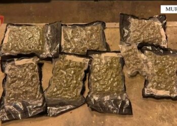 Dy persona janë arrestuar në Muriqan pas gjetjes së 4.2 kg kanabis të fshehur në një automjet.