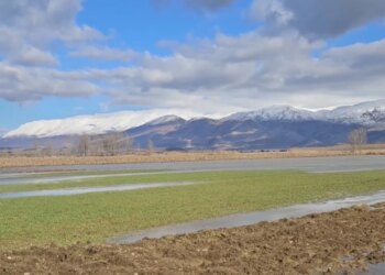 Fermerët e Sovjanit përballen me vështirësi, nuk kanë filluar mbjelljen e qepëve dhe patateve për shkak të lagështirës.