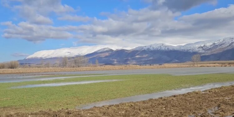 Fermerët e Sovjanit përballen me vështirësi, nuk kanë filluar mbjelljen e qepëve dhe patateve për shkak të lagështirës.