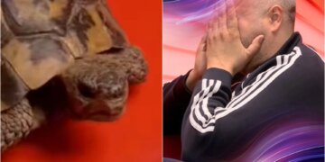 “Frika për Zotin”/ Rogerti emocionon në dhomën e rrëfimit, duke lotuar kur sheh… breshkën