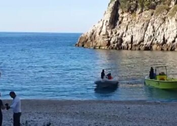 Gjuetia me dinamit në Vlorë, veprimtaria e paligjshme kërcënon edhe fokat, specialistët e cilësojnë si krim ndaj natyrës.