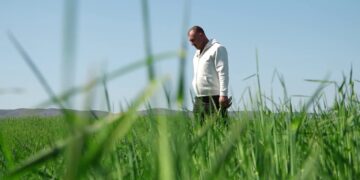 Gruri do të shtrenjtohet/ Fermerët: Nafta dhe plehrat kimikë po rriten, tregtarët po shfrytëzojnë situatën e luftës për të rritur çmimet